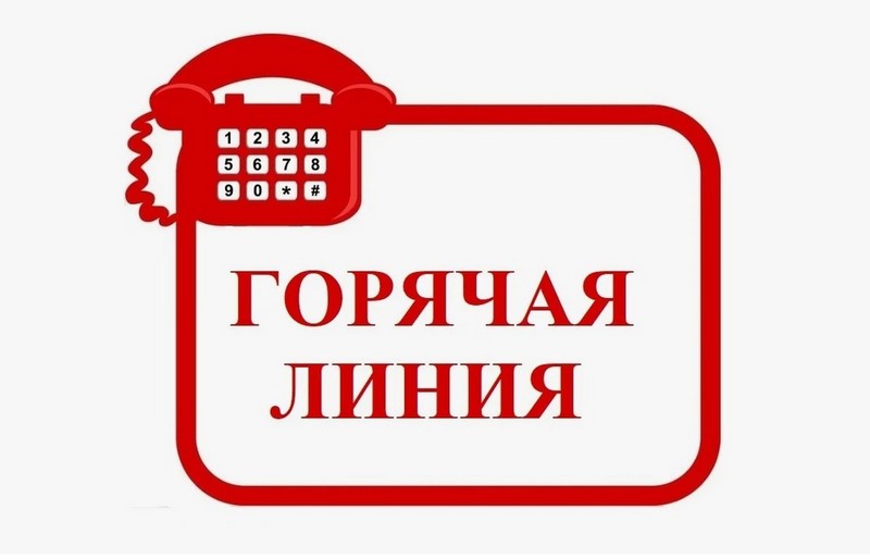 Телефон «горячей линии».