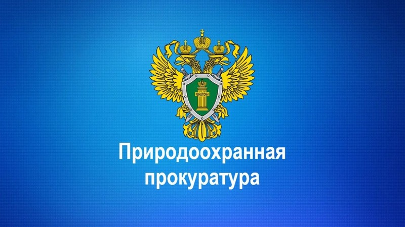 Саратовская межрайонная природоохранная прокуратура разъясняет законодательство об ответственном обращении с животными.