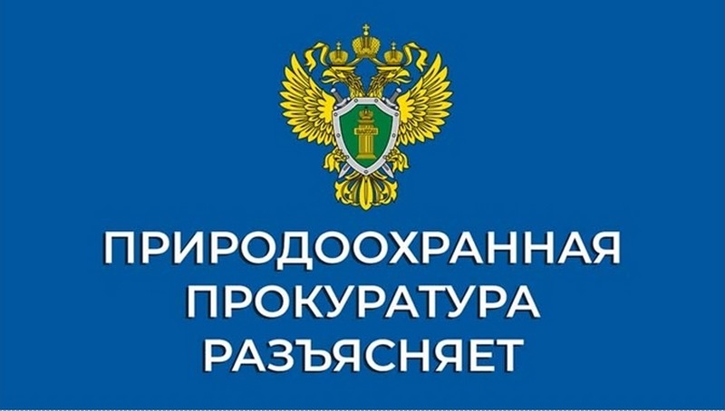 Горячая линия» по приему обращений граждан о нарушении законодательства об охране лесов.