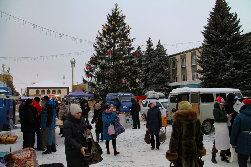 Сегодня на городской площади г. Красноармейска прошла сельскохозяйственная ярмарка «Выходного дня».