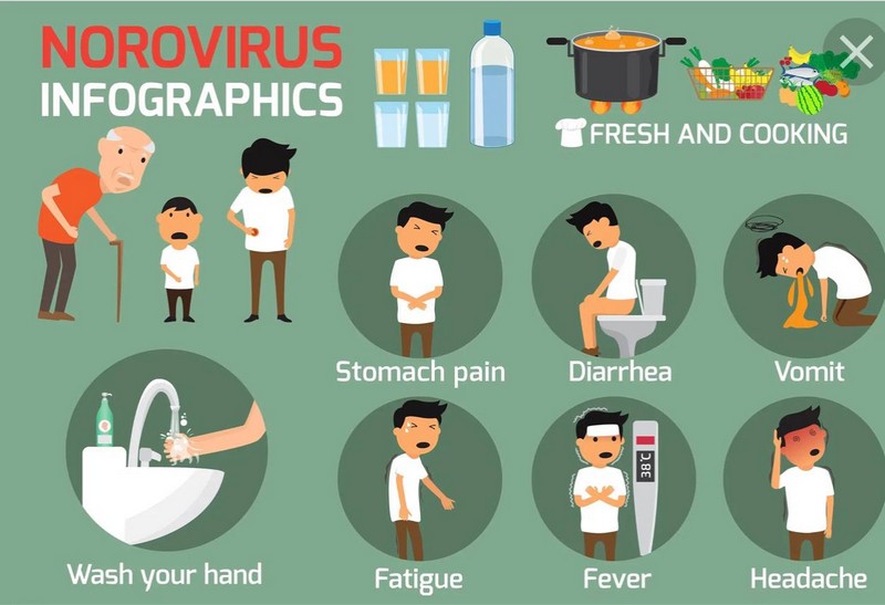 Норовирусная инфекция протекает в легкой форме.