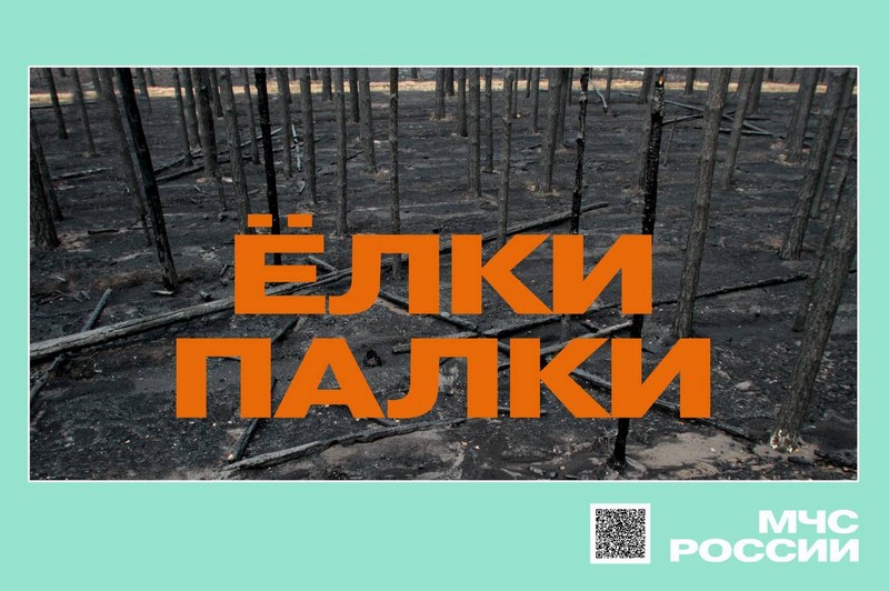 В календаре неофициальных праздников 9 августа отмечается день защиты леса от пожаров.