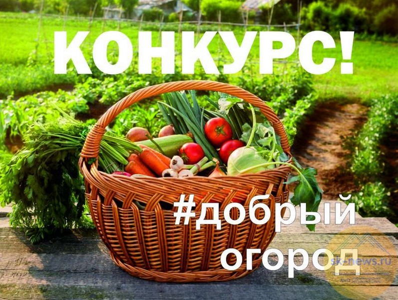 #Добрый огород - 2023: сезон открыт.