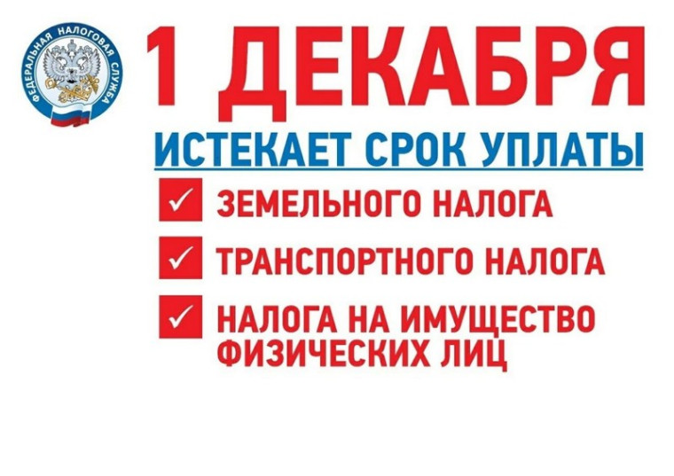 Платите налоги своевременно!. Платите налоги своевременно!.
