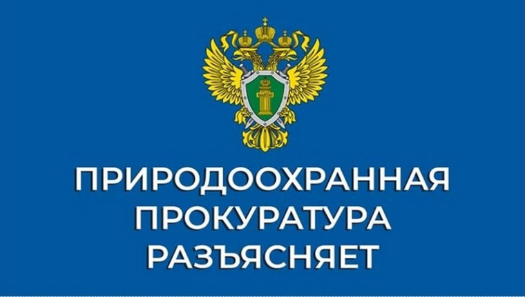 Горячая линия» по приему обращений граждан о нарушении законодательства об охране лесов. Горячая линия» по приему обращений граждан о нарушении законодательства об охране лесов.