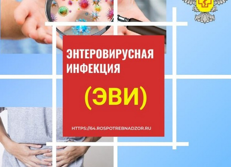 Энтеровирусы устойчивы во внешней среде. Энтеровирусы устойчивы во внешней среде.
