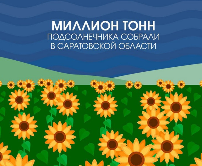 Миллион тонн подсолнечника собрали в Саратовской области. Миллион тонн подсолнечника собрали в Саратовской области.